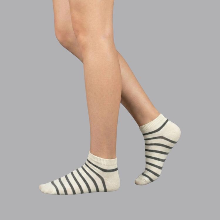 Ankle Stripes Socks - White / Dark Grey Free Size